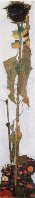 Sunflower II, Egon Schiele